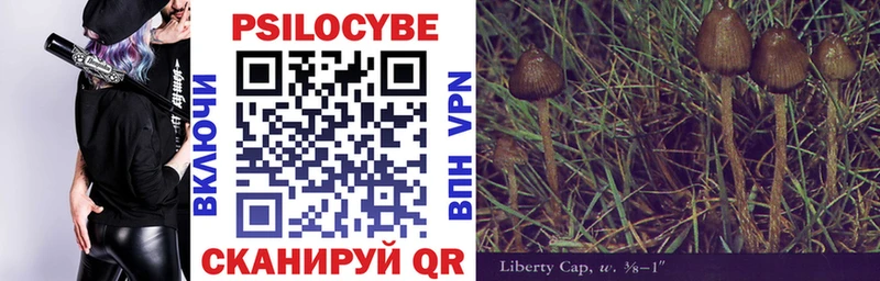 Псилоцибиновые грибы Cubensis  продажа наркотиков  Руза 